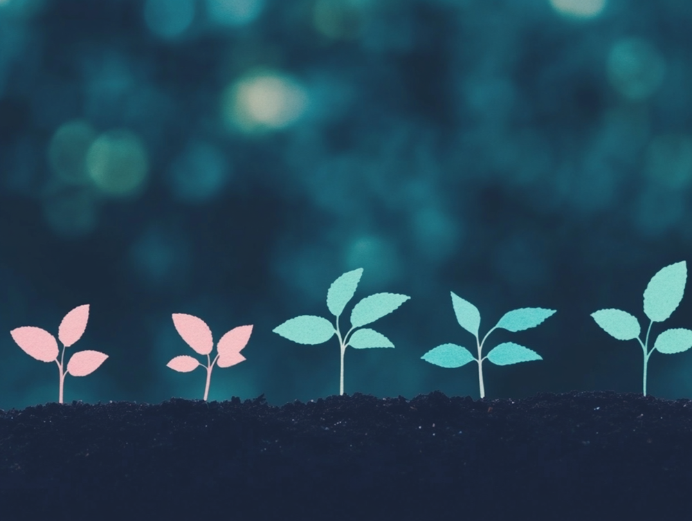 Leafyard sustainability and impact initiatives